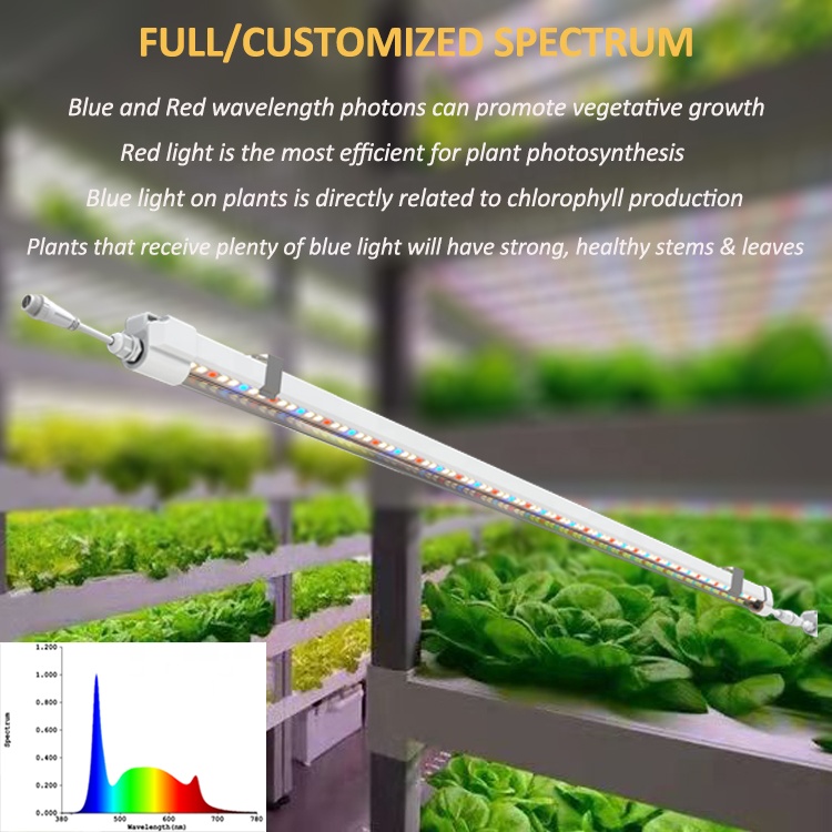 T5-Wachstumslichter, 1,2 m, Hy – Grow Light T5 Bewertung und Preis